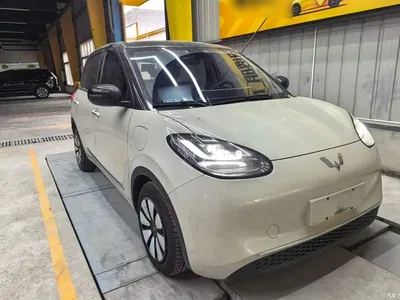 2023 Wuling Motors Wuling Bingo 410km Lingxi Premium Edition, фото 4, лот 10370906