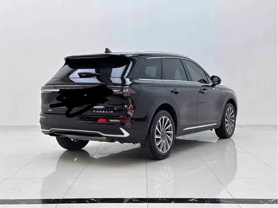2023 Lincoln Adventurer 2.0T 2WD Zunya Edition, фото 3, лот 10357602