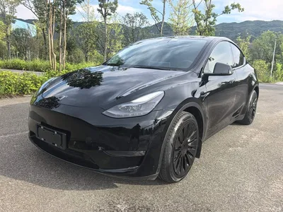 2021 Tesla Model Y Standard Range Rear-Wheel Drive, фото 1, лот 10369826