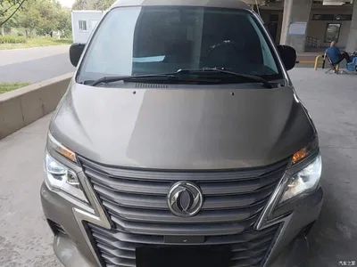 2020 Dongfeng Lingzhi M5L 1.6L Luxury 7-Seater, фото 3, лот 11150013