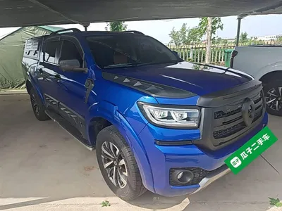 2023 Great Wall Pao 2.0T Passenger Automatic Gasoline 4WD Sport GW4C20B, фото 4, лот 10363795