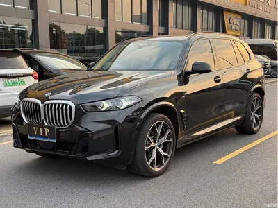 2023 BMW X5 xDrive 30Li Premium M Sport Black Night Package, фото 1, лот 10462721