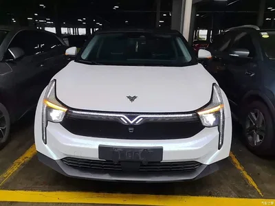 2021 Nezha Auto Neta U Pro 500 Global Edition, фото 3, лот 11242094