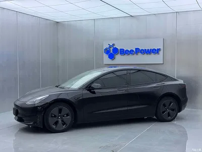 2022 Tesla Model 3 Model Rear-Wheel Drive Version, фото 4, лот 10364983