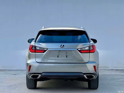 2016 Lexus RX 300 4WD Elegance Edition (China V), фото 4, лот 10405370