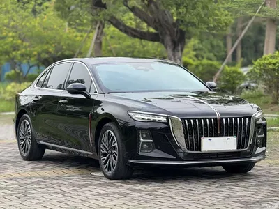 2024 Hongqi H5 2.0T Automatic Smart Connect Flag Smooth Edition, фото 3, лот 10304145