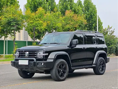 2021 Tank 300 Off-road Version 2.0T Conqueror, фото 1, лот 10344172