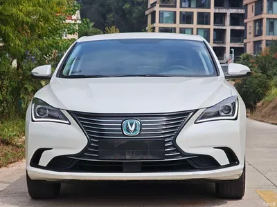 2019 Changan Eado New Energy EV460 Sharing Edition, фото 2, лот 11223478
