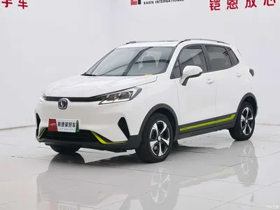 2020 Changan New Energy E-Pro Ultimate Power Edition, фото 1, лот 11151617