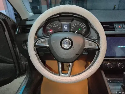 2016 Škoda Octavia 1.6L Automatic Pioneer Edition, фото 3, лот 10347957