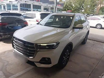 2021 Haval H6 National Trend Edition 1.5T Automatic Urban Edition, фото 2, лот 10389094