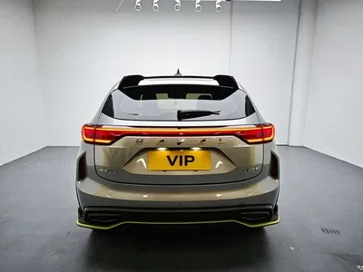 2021 Haval Chitu Turbo Edition 1.5T Golden Rabbit, фото 3, лот 10298426