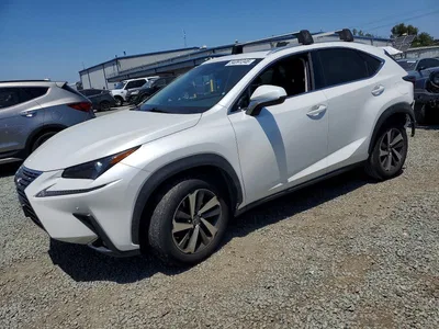 2019 LEXUS NX 300 BASE, фото 1, лот 10899850