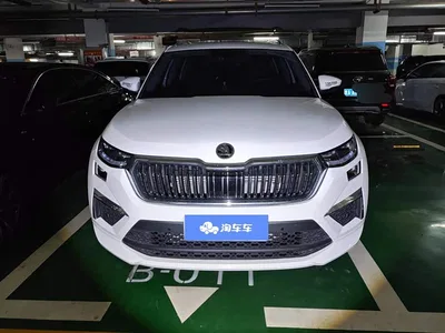 2022 Škoda Kodiaq TSI330 5-Seater 2WD Luxury Edition, фото 2, лот 10348929