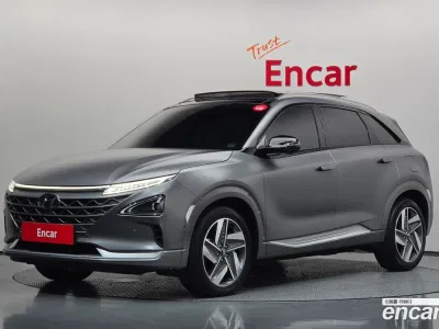 2023 Hyundai Nexo Premium, фото 1, лот 10521882