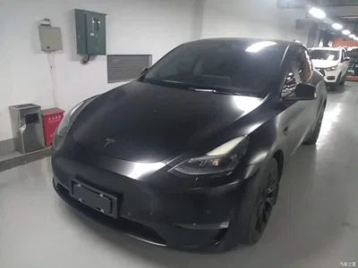 2021 Tesla Model Y Standard Range Rear-Wheel Drive, фото 2, лот 10369545