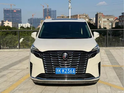 2021 Buick GL8 ES Landlord 653T Premium, фото 2, лот 10626197