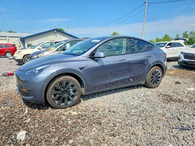 2023 TESLA MODEL Y, фото 1, лот 10851705
