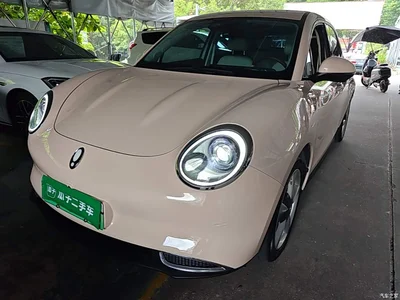 2023 Ora Good Cat 401km Standard Range Comfort LFP, фото 1, лот 10330726