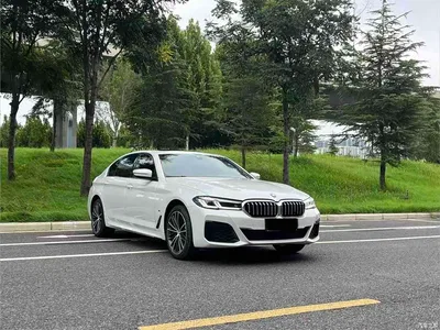 2023 BMW 5 Series 530Li Leading M Sport Package, фото 3, лот 11190828