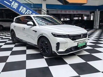 2024 Voyah Auto VOYAH FREE Ultra Long Range Intelligent Driving Edition, фото 3, лот 10311303