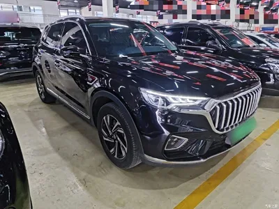 2022 Hongqi HS5 Facelift 2.0T Smart Flag Enjoyment Edition, фото 4, лот 11215777