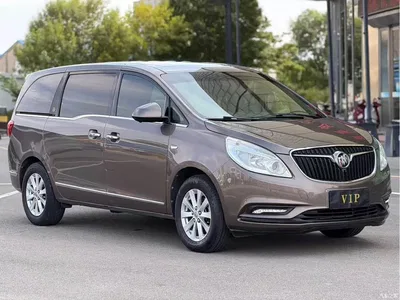 2017 Buick GL8 25S Luxury China V, фото 3, лот 11249415