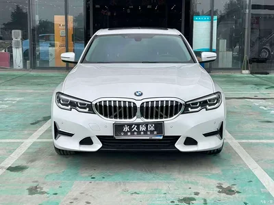 2020 BMW 3 Series 325Li Launch Edition, фото 2, лот 11216202