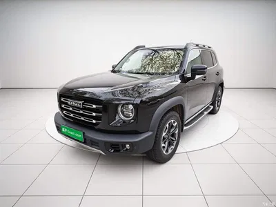 2021 Haval Big Dog 2.0T DCT 4WD Chinese Rural Dog Edition, фото 2, лот 11058610