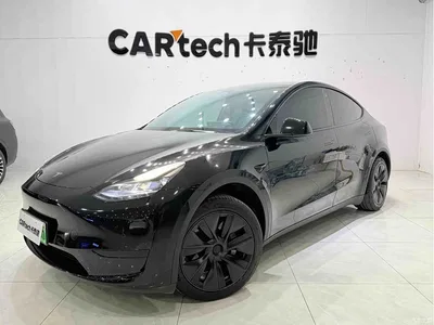 2023 Tesla Model Y Rear-Wheel Drive Edition, фото 1, лот 10479000