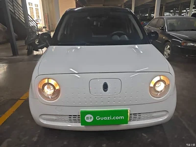 2021 Ora Black Cat 301km Basic Model, фото 3, лот 11199174