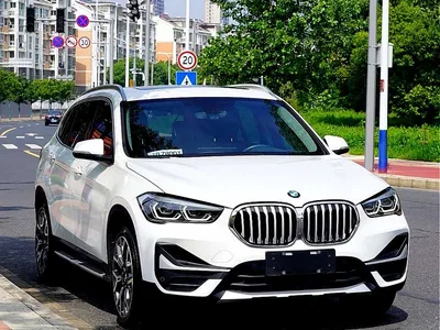 2020 BMW X1 xDrive25Li Premium Edition, фото 4, лот 10391847
