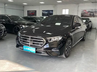 2025 Mercedes-Benz E-Class E 300 L Luxury, фото 3, лот 10267040