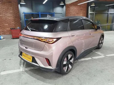 2025 BYD Dolphin 520km Knight Edition, фото 4, лот 10402525