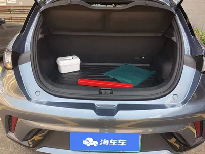 2025 BYD Dolphin 420km Freedom Edition, фото 4, лот 11103557