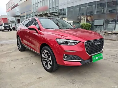 2019 Haval F5 National Trend Edition 1.5T iFashion China VI, фото 4, лот 10283833