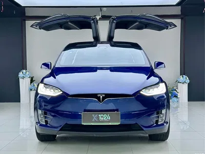 2019 Tesla Model X Long Range Version, фото 2, лот 10352558