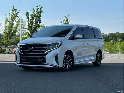 2021 GAC Trumpchi Trumpchi M8 Leading Show Series 390T Premium Edition, фото 2, лот 10418302