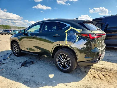 2025 LEXUS NX 350H PREMIUM, фото 2, лот 10904509