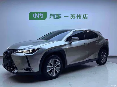 2020 Lexus UX Electric 300e Pure Enjoyment Edition, фото 1, лот 10598894