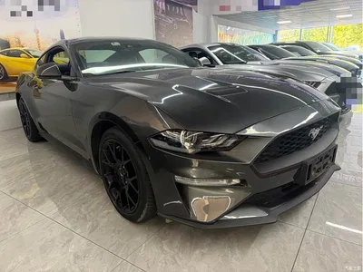 2019 Ford Mustang 2.3L EcoBoost, фото 3, лот 11568279