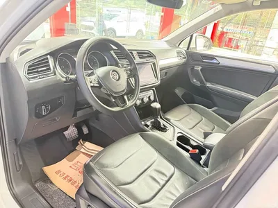 2019 Volkswagen Tiguan L 330TSI Automatic 2WD Smart Luxury Edition China VI, фото 4, лот 11247232