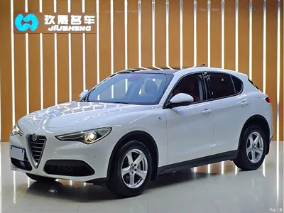 2017 Alfa Romeo Stelvio 2.0T 200HP Elite, фото 1, лот 10239835
