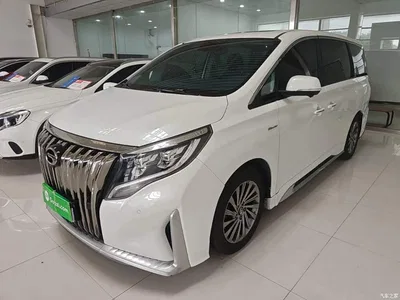 2021 GAC Trumpchi Trumpchi M8 Master Series 390T Ultimate Edition, фото 2, лот 10894841