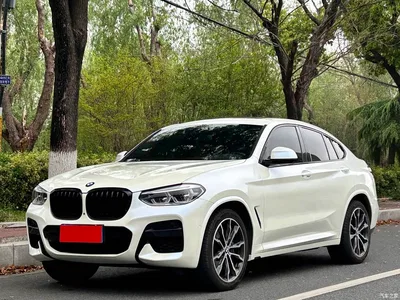 2020 BMW X4 xDrive30i M Sport Package, фото 1, лот 10476807