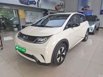 2025 BYD Dolphin 420km Freedom Edition, фото 1, лот 10263968