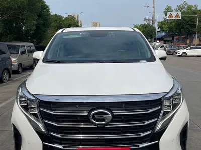 2021 GAC Trumpchi Trumpchi M8 Leading Show Series 390T Prestige Edition, фото 2, лот 10415381