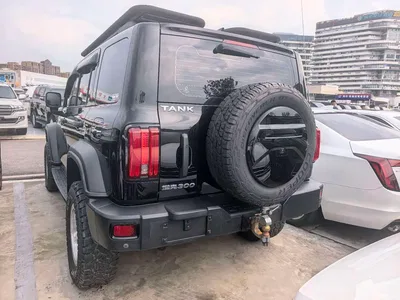 2021 Tank 300 Off-road Version 2.0T Conqueror, фото 4, лот 10344823