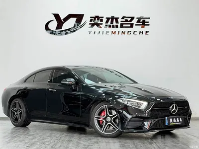 2020 Mercedes-Benz CLS 300 Dynamic, фото 3, лот 10259561