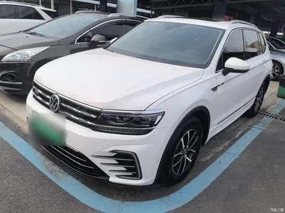 2019 Volkswagen Tiguan L PHEV 430PHEV Hybrid Flagship Edition, фото 1, лот 10477888